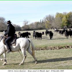 ARAZ-Repas-Agnel-23-11-2025-65-N