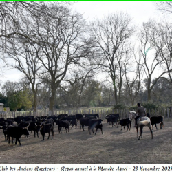 ARAZ-Repas-Agnel-23-11-2025-69-B