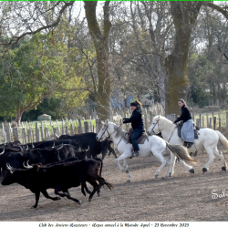 ARAZ-Repas-Agnel-23-11-2025-70-B