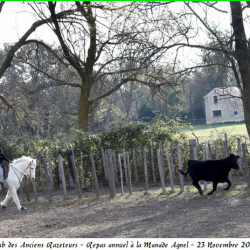 ARAZ-Repas-Agnel-23-11-2025-71-B