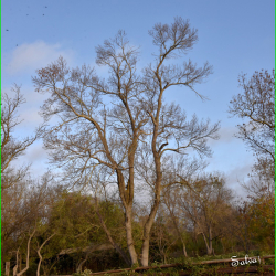 Visite-Agnel-15-11-2025-10-B