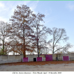 Visite-Agnel-15-11-2025-15-B