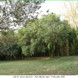 Visite-Agnel-15-11-2025-6-B