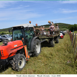 Ferrade-Brestalou-06-06-2026-54-B