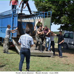 Ferrade-Brestalou-06-06-2026-105-N