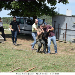 Ferrade-Brestalou-06-06-2026-106-N